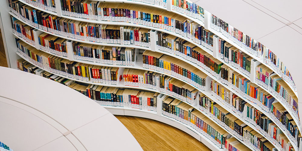 modern curvy bookshelves filled with books